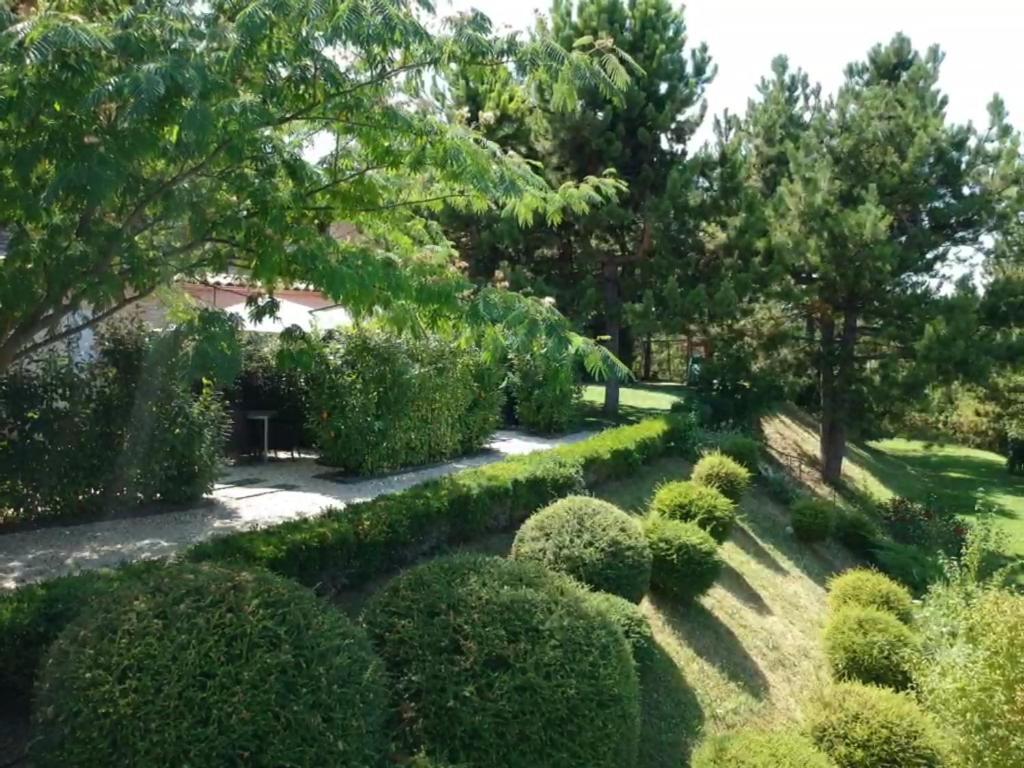 Bed and Breakfast Le Jardin De Celina Valensole Exterior foto
